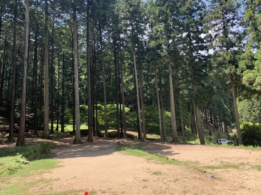 森林オートサイトの風景