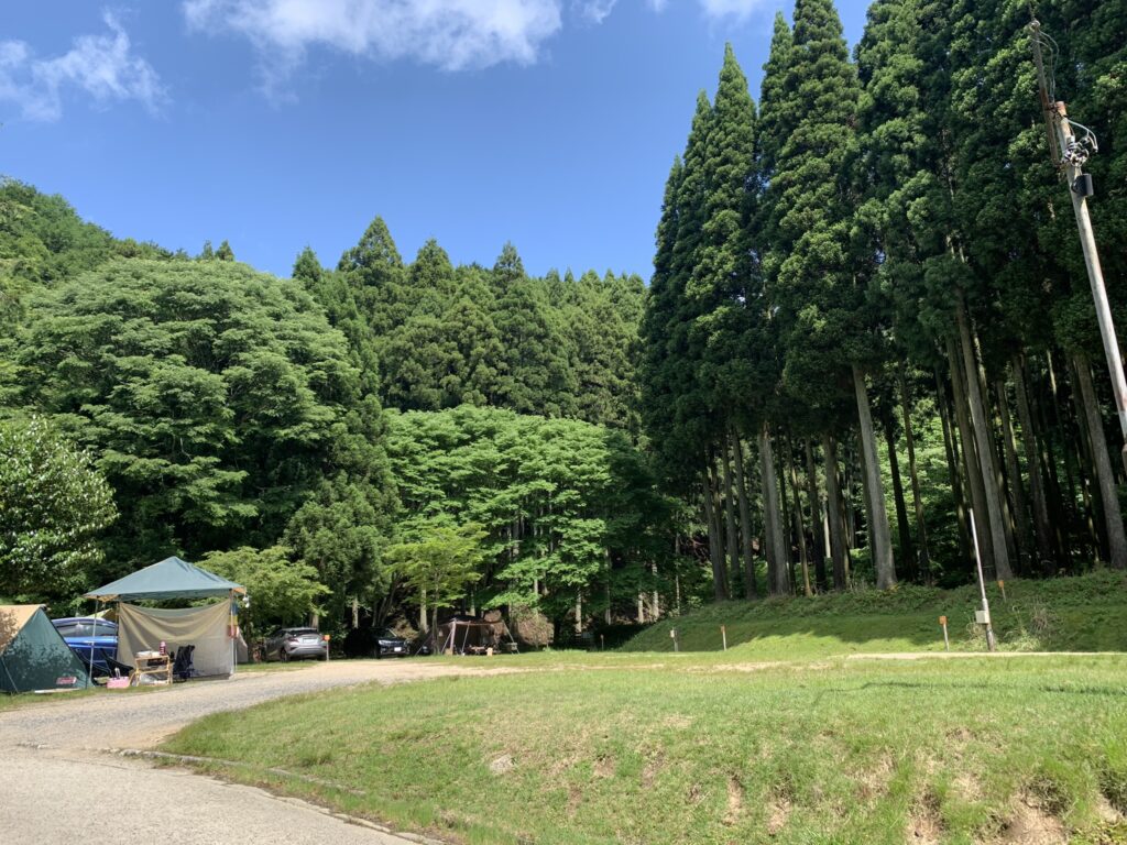 かぶとの森テラス場内風景